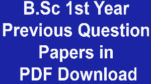 B.Sc 1st Year Previous Question Papers in PDF Download