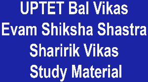 UPTET Bal Vikas Evam Shiksha Shastra Sharirik Vikas Study Material